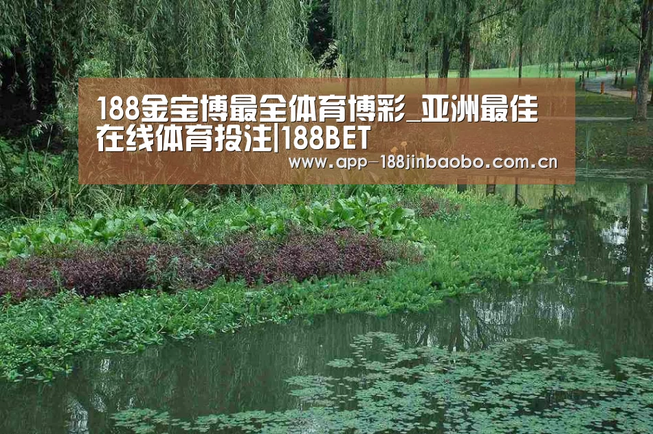 案例展示一(图1)