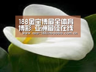 产品名称七