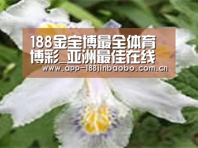 产品名称二