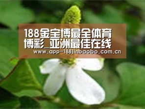 产品名称三