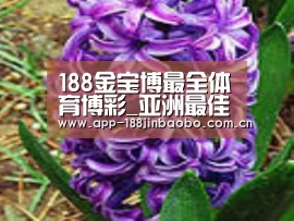 产品名称八