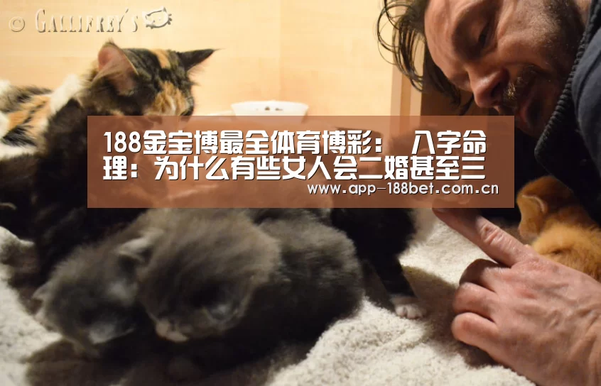 188金宝博最全体育博彩:
八字命理:为什么有些女人会二婚甚至三婚(图2) 188金宝博