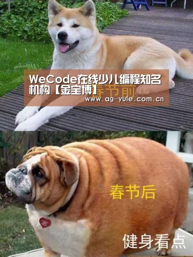 金宝博官网